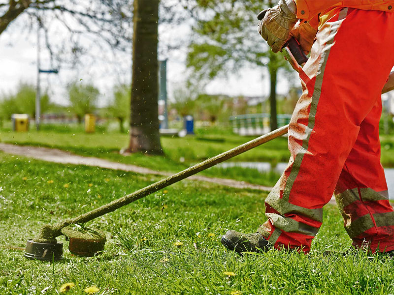 grass-cutting-dawson-creek